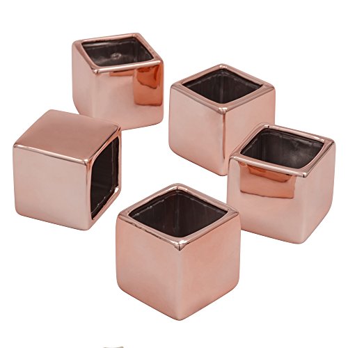Ivy Lane Design Mini Flower Pots Party Favors, Rose Gold, Set of 5 - color: Rose Gold, size: Square