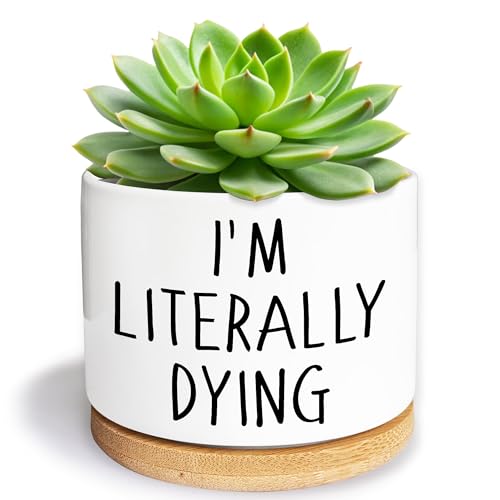 I'm Literally Dying - Quotes Funny Succulent Pots, 3.5 inch Ceramic Flower Plant Pots with Drainage Hole, Cute Cactus Planters, Birthday Gifts for Women Friends,Housewarming Gifts