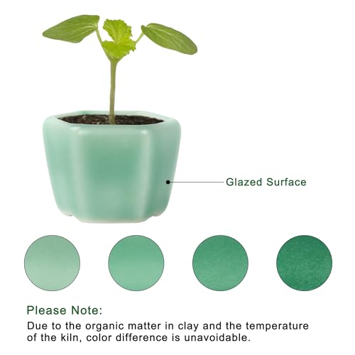 Bonsai Planter 1.8 inch (4.5cm) Mini Succulent Glazed Pots Set of 18 Green - color: Green