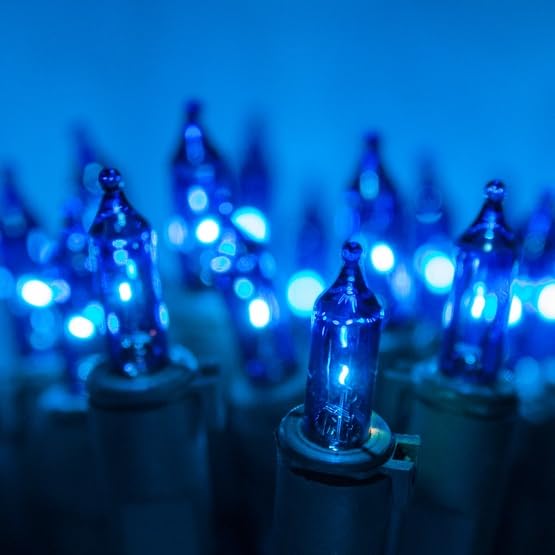 Holiday Wonderland 100 Count Blue String to String Miniature Christmas Light Sets - Pack of (1)