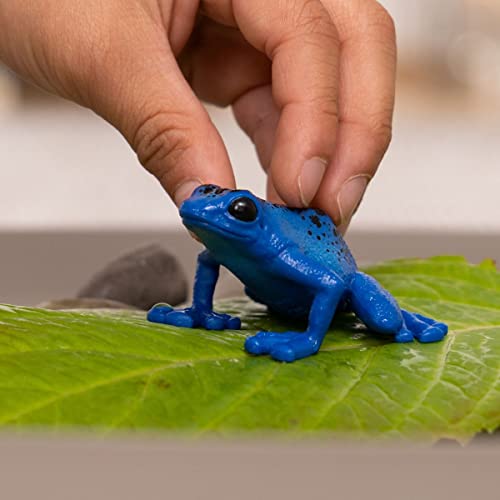 Schleich Wild Life - Wild Animal Rainforest Jungle Toys for Kids, Poison Dart Frog Toy, Blue, Ages 3+ - style: Blue Poison Dart Frog