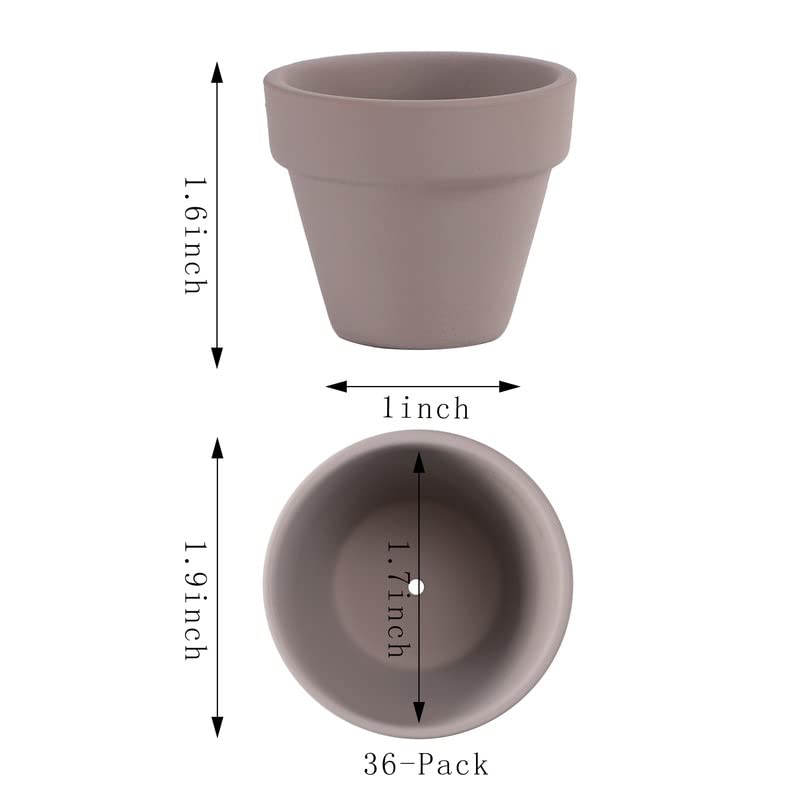 Yishang 1.9 Inch Tiny Grey Terracotta Pots Pack of 36-Small Mini White Clay Pots with Drainage Holes Flower Nursery Terra Cotta Planter for Tiny Cactus,Herb,Succulent Plants,Crafts - color: Gray