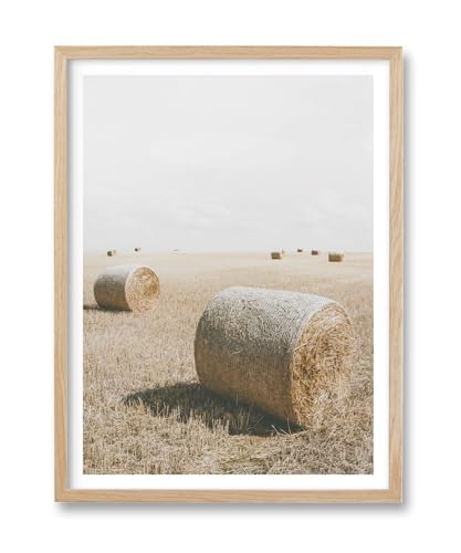 HesenDot Farmhouse Round Hay Bale Natural OAK Wood Framed Wall Art, 12x16in - color: Framed Hay Bales