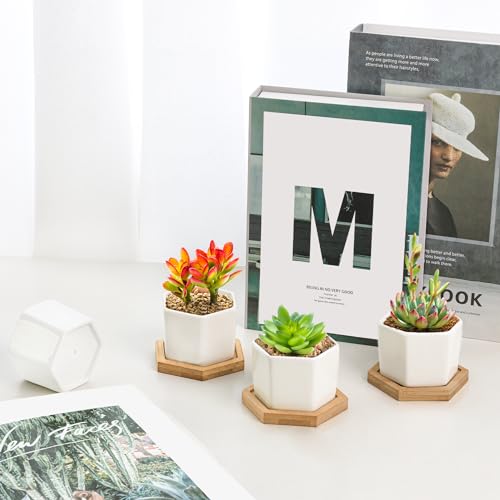 T4U Small Succulent Pots 12 Pack, Mini Flower Planters with Drainage White - color: Hexagon