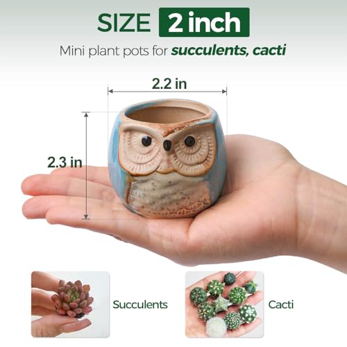 T4U Owl Succulent Pots, Mini Ceramic Planter, Retro Decor Gift Set of 12 - color: Owl, size: Pack of 12