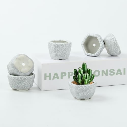 Bonsai Planter 1.8 inch (4.5cm) Mini Succulent Glazed Pots Set of 18 Gray White - color: Gray White