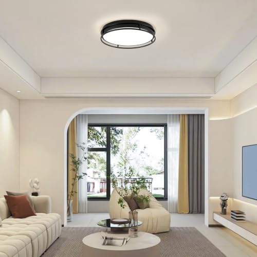 Modern Flush Mount Ceiling Light, Black Dimmable Ceiling Light Fixture - color: Black, size: 16.5in