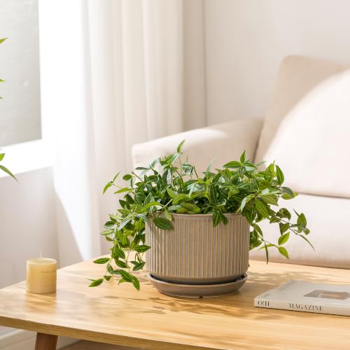 SURE YUESI Ceramic Plant Pots Set of 3, Indoor Outdoor Planters with Drainage Hole and Saucer, Ceramic Flower Pots for Indoor Plants, 4.3+5.5+6.8 Inch, Home, Garden, Patio and Office, Matte Grey - color: Speckle Gray