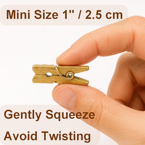 LWR CRAFTS Wooden Mini Clothespins 100 Per Pack 1" 2.5cm (Golden) - color: Golden