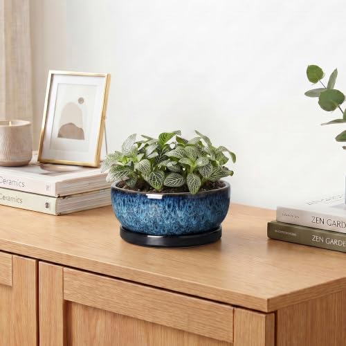 Succulent Pots, 6 Inch Ceramic Bonsai Pots with Saucer, Blue - color: Blue, size: 6 Inch