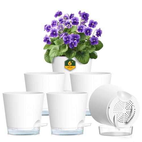 Meowell 6 inch Self Watering Pots for Indoor Outdoor Plants, 6 Pack Flower Plant Pots with Drainage Holes and Clear Reservoirs, Visible Water Level, Plastic Planters with Wicking Rope, White - color: White, size: 6in 6pcs