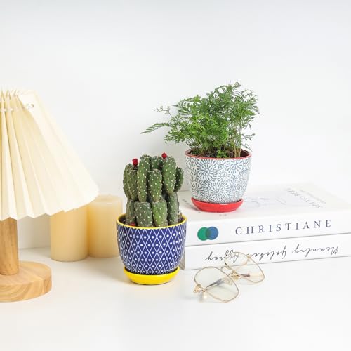 Selamica Ceramic Succulent Pots, 4.6 Inch Small Plant Pots with Drainage Holes & Saucers, Succulent Planters for Indoor Plants Cactus, Home Decor, Set of 6, Assorted Colors - color: Assorted Colors, size: 4.6 Inch, Set of 6