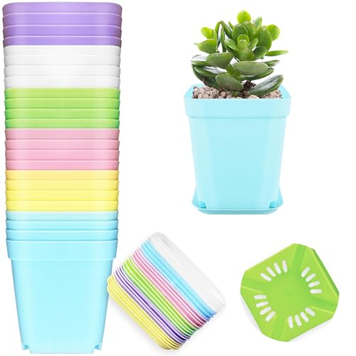 OJYUDD 24 Pack Multi Color Plastic Plant Pot,Colorful Plastic Square Pots,Mini Plastic Square Planters for Indoor Outdoor Plants Flowers,Garden,Office,Home Decor,with Pallet - size: 24 Pack Multicolor