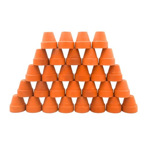 Mini Terracotta Pots – Small Clay Flower Pots for Succulents, Cactus, DIY Crafts, Fairy Garden, School Projects, Mini Planters, Set of 30 (Classic Cylinder, 1.2 Inch) - size: 1.2 Inch, style: Classic Cylinder