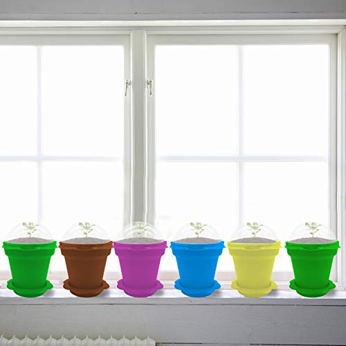 PURPLE STAR 1N 25 Packs Cupcake Plant Nursery Pots with Humidity Dome-Small Flower Pots for Kids-Planting Containers Cups for Indoor Outdoor Plant Succulent Display (Mixed Color) - color: 25 Packs