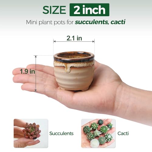 T4U Mini Ceramic Succulent Pots, Small Gift Planters, Retro Decor Set of 6 - color: Flowing Glazed, size: Pack of 6