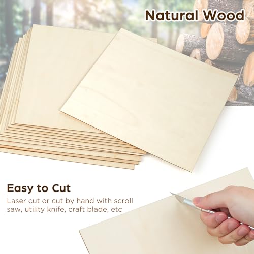 LotFancy Basswood Sheets, 12 Pack, 12 x 12 x 1/16 Inch, Plywood Sheets with Smooth Surfaces, 1.5mm Craft Wood Board for Laser Cutting, DIY Architectural Models, Wood Burning and Staining - size: 12 x 12 x 1/16 12pcs