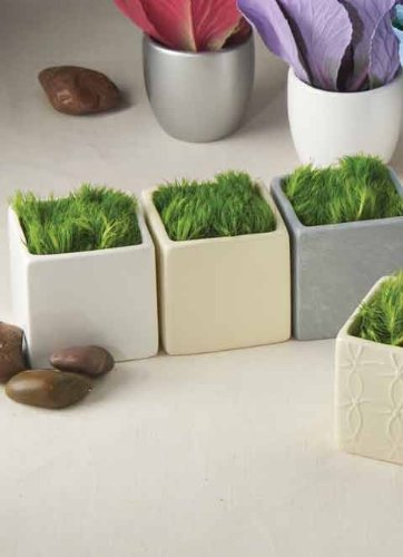 Ivy Lane Design Smooth Square Flower Pots, White, Set of 5 - color: White, size: Square