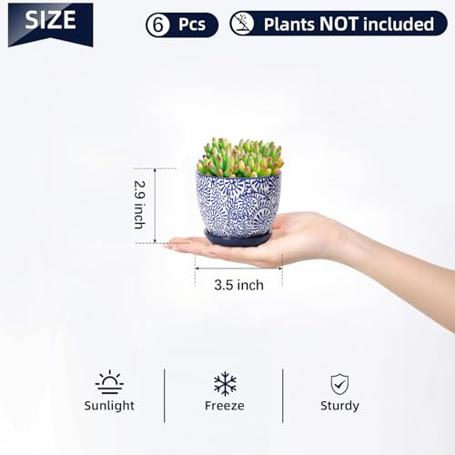 Selamica Ceramic Succulent Pots, 3.5 Inch Small Plant Pots for Indoor Plants Cactus Herbs, Succulent Planters with Drainage Holes & Saucers, Home Decor, Set of 6, Vintage Blue - color: Vintage Blue, size: 3.5 Inch, Set of 6
