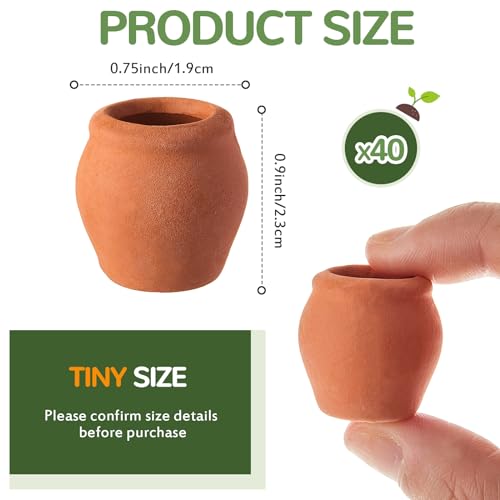 40 Pcs Mini Terracotta Clay Pots for Succulent Cactus Crafts