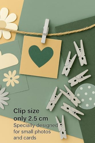 LWR CRAFTS Wooden Mini Clothespins 100 Per Pack 1" 2.5cm (Silver) - color: Silver