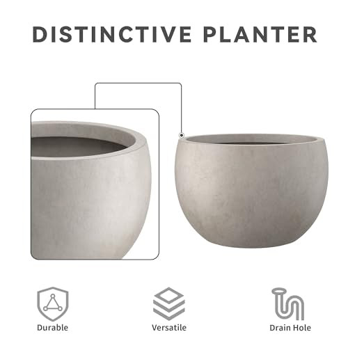 Kante 7.9" Tall Round Bowl Concrete Planter, Weathered Finish for Home - color: Weathered Concrete, size: 11.8" d