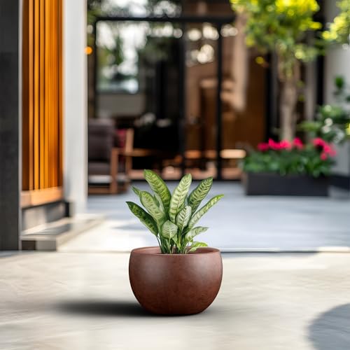 Kante Large Round Bowl Rusty Concrete Planter 19.9" Dia, Outdoor - color: Rusty, size: 19.9" d