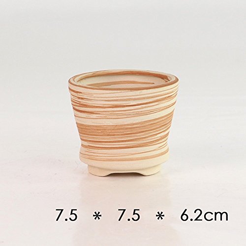 2.5-3" Succulent Pots, Ceramic Wood Pattern Cactus Planters Set, 6 Pack