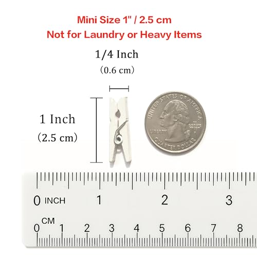 LWR CRAFTS Wooden Mini Clothespins 100 Per Pack 1" 2.5cm (White) - color: White