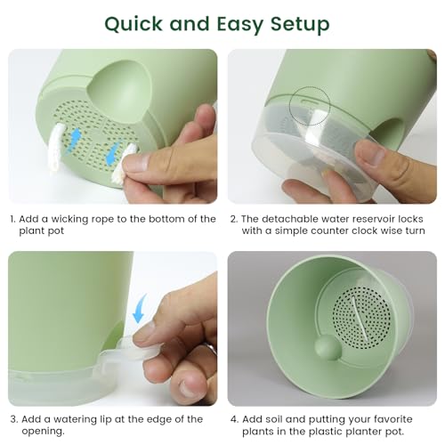 Meowell 6 inch Self Watering Pots for Indoor Outdoor Plants, 3 Pack Flower Plant Pots with Drainage Holes and Clear Reservoirs, Visible Water Level, Plastic Planters with Wicking Rope, Green - color: Green, size: 6in 3pcs