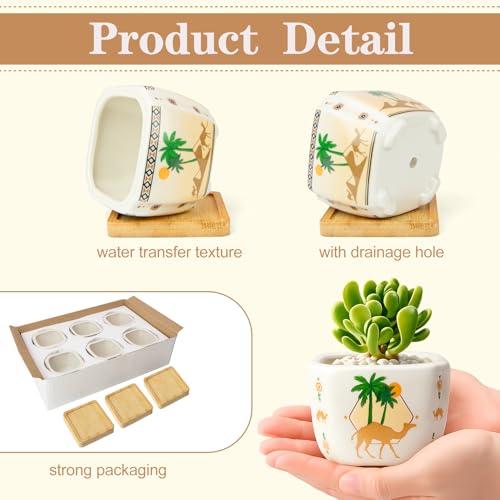 Succulent Pots with Drainage, 3.2" Small Plant Pots with Bamboo Trays, Ceramic Pots for Indoor Plants, Cactus Pots, Mini Succulent Planters for Home Garden Decor, Set of 6 - color: Mid-e-square