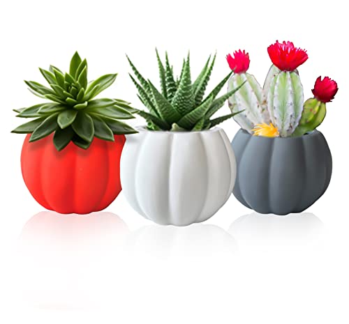 Set of 3 Ceramic Miniature Pumpkin Succulent Pots with Drainage Hole3x4x2.3