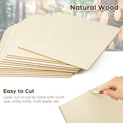 LotFancy Basswood Sheets for Craft, 12 Pack, 12 x 12 x 1/8 Inch, 3mm Thick Plywood Sheets, Unfinished Wood Boards for Laser Cutting & Engraving, DIY Architectural Models, Wood Burning and Stain - size: 12 x 12 x 1/8 12pcs