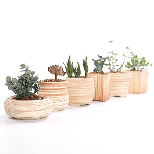 2.5-3" Succulent Pots, Ceramic Wood Pattern Cactus Planters Set, 6 Pack