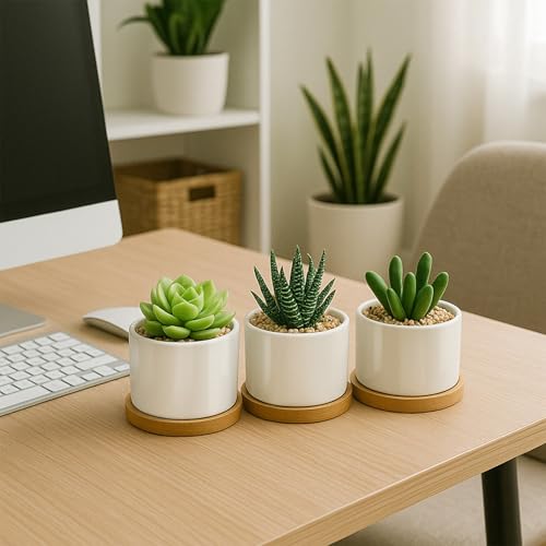 ZOUTOG 4 Pack 3.1" Ceramic Succulent Pots,White Planter with Drainage Tray - size: 4 Pack 3.1"