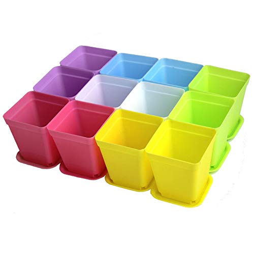 WARMBUY Colorful Small Plant Flower Plastic Pots with Saucers, Set of 12 - size: 2.75 x 2.75 x 3-inch