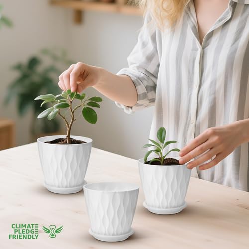 YNNICO 4 inch Plant Pots for Indoor with Drainage Holes and Tray Saucers - color: White, size: 4 inch