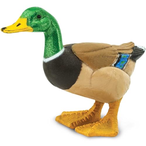 Safari Ltd. Mallard Duck Figurine - Hand-Painted, Realistic 3" Model Figure - Fun Educational Toy for Boys, Girls & Kids Ages 3+