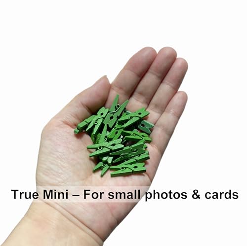LWR CRAFTS Wooden Mini Clothespins 100 Per Pack 1" 2.5cm (Classic Green) - color: Kelly/Classic Green