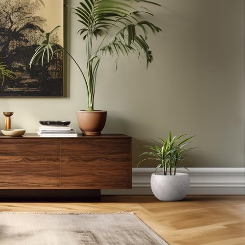 Kante Large Round Bowl CON Gray Concrete Planter 19.9" Dia, Outdoor - color: Light Gray, size: 19.9" d