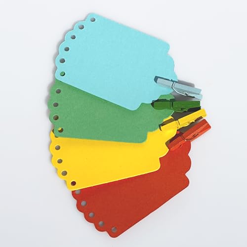 LWR CRAFTS Wooden Mini Clothespins 100 Per Pack 1" 2.5cm (Light Blue) - color: Light Blue