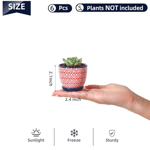 Selamica Ceramic 2.4 Inch Succulent Pots, Mini Flower Pots for Cactus Plant with Drainage Holes & Saucers, Home Decor, Set of 6, Assorted Colors - color: Assorted Colors, size: 2.4 Inch, Set of 6