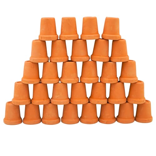 Mini Terracotta Pots – Small Clay Flower Pots for Succulents, Cactus, DIY Crafts, Fairy Garden, School Projects – Set of 30 (Straight Cylinder, 0.7 Inch) - size: 0.7 Inch, style: Straight Cylinder