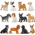 Toymany 12PCS Mini Dog Figurines – Realistic Hand-Painted Plastic Puppy Figures, Lifelike Animal Toy Set for Kids, Perfect Cake Toppers & Birthday for Boys Girls 3+ - style: A-Dogs