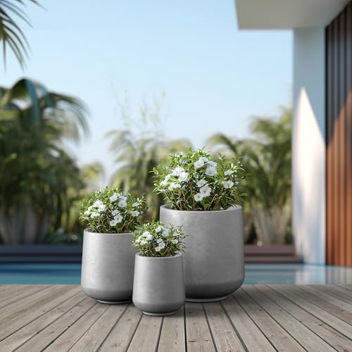 Kante Set of 3 Pale Gray Concrete Curved Planters 16.5" 13" 9.4" Dia - color: Natural Concrete, size: Set of 3: 15.3" + 11.6" + 8.2" D