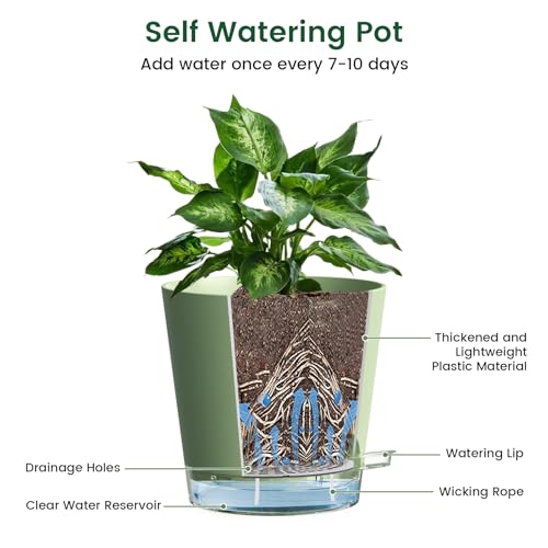 Meowell 6 inch Self Watering Pots for Indoor Outdoor Plants, 3 Pack Flower Plant Pots with Drainage Holes and Clear Reservoirs, Visible Water Level, Plastic Planters with Wicking Rope, Green - color: Green, size: 6in 3pcs