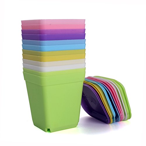 WARMBUY Colorful Small Plant Flower Plastic Pots with Saucers, Set of 12 - size: 2.75 x 2.75 x 3-inch