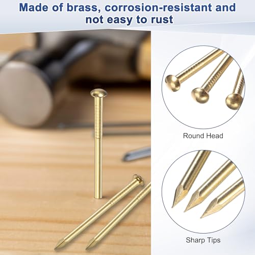 Generic 100-Pack Small Tiny Nails, 2mm x 20mm Brass Precision MIni Nails Hardware Round Head for Wooden/DIY Crafts Decorative/Household Accessories/Picture Hanging