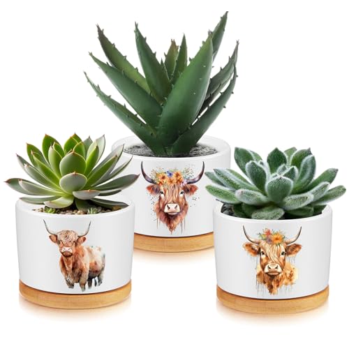 Jingmore 3 Pcs Highland Cow Succulent Planter, Ceramic Gift for Women - style: Highland Cow