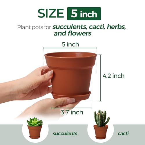 T4U Flower Pots for Indoor Plants 5 Inch with Saucer, Plastic Plant Pot - color: Terracotta, size: 5 In
